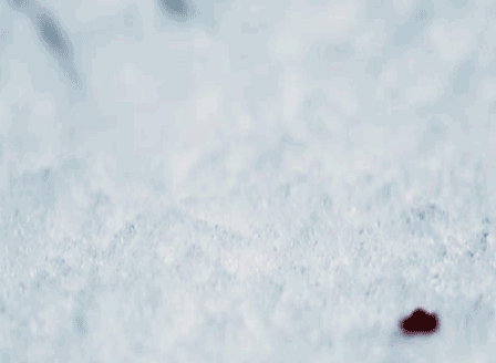 tennants-hair:  fangirlamy:  consultingtimekhaleesi:   Blood bounces quite strikingly on snow not only because of the obvious color/contrast discrepancy, but the large difference in temperatures.  Another post to add to the list of “I swear I’m not