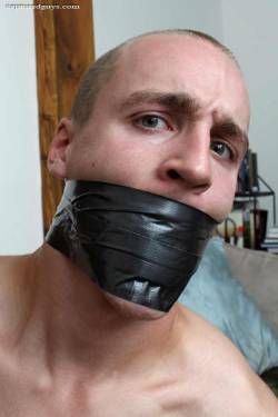 bondageman007:  Hmmm…how about I wrap the tape 25 times around your head. Will that do it?  