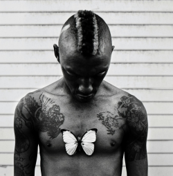 aayla: Anton Corbjin, Tricky, Los Angeles