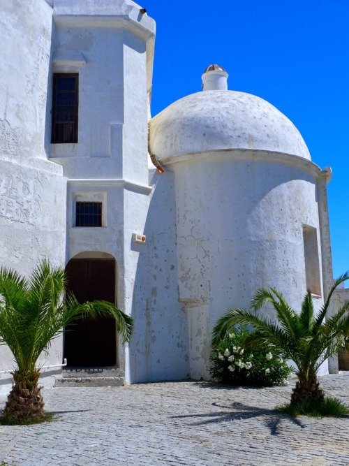 pata-caliente: Whitewashed | Cádiz, Andalucía, España (by L F Ramos-Reyes)