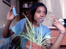 fierrrrrrce:  nudesque:  hxney:  mikerowsoft:  smoek weed err day  me  this is my favorite picture still  420 