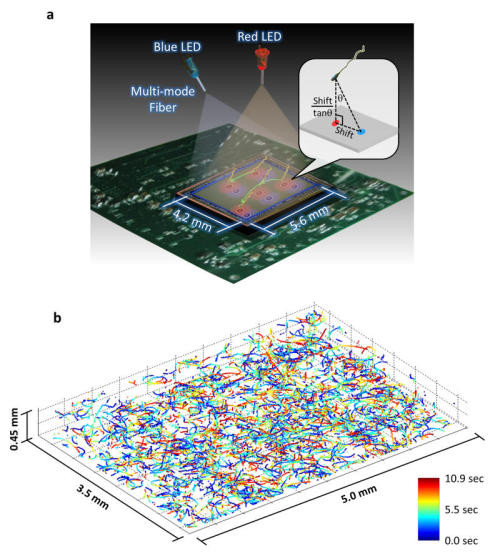 joshbyard:  New Microscopy Technique Enables Researchers to Track 24,000 Individual Cells in Three D