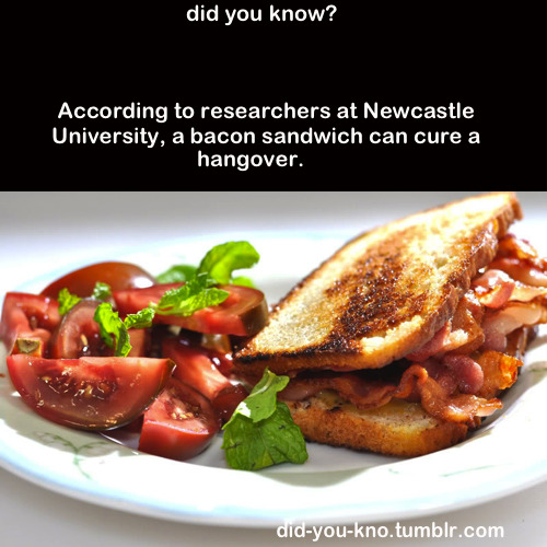 did-you-kno:  A bacon sandwich really does cure a hangover - by boosting the level