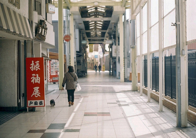 sleeplessjapan:  西条 by *dapple dapple on Flickr. 
