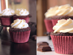 gastrogirl:  double chocolate cupcakes. 