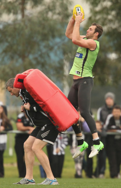  Strutting Magpies! Collingwood is looking good! Feeling Good, Too, Baby! 