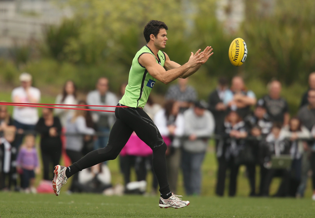  Strutting Magpies! Collingwood is looking good! Feeling Good, Too, Baby! 