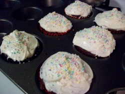 Cupcakes I Made :3