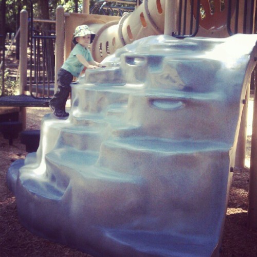 #fmsphotoaday #photoadaysept Climbing Up #man-made Nature! (Taken With Instagram At Friendship Park)