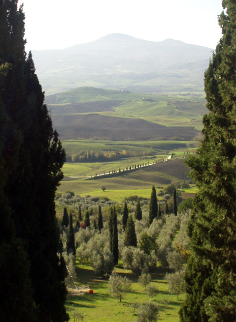 (via frame of tuscany, a photo from Siena, Tuscany | TrekEarth)Montalcino, Tuscany, Italy