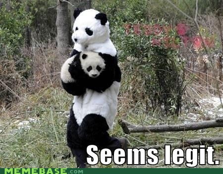 meme-depot:  My Mother, the Pandahttp://meme-depot.tumblr.com