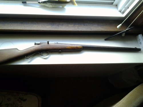 ghost-of-gold:Old .22 LR rifleLooks to me like a Winchester Model 1902. cool.