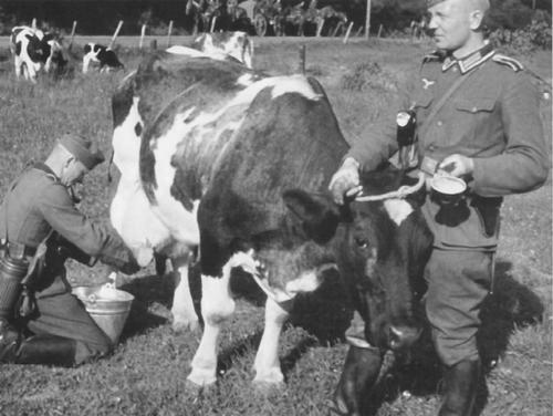 failfail9:  holland 1940