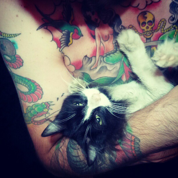 Don Juan #catsofinstagram #cats #cat #tattoo #oldschool #rockabilly #saopaulo #sp #brazil #android #jellybean #galaxynexus (Publicado com Instagram, no Vudu! vuduloja.com)