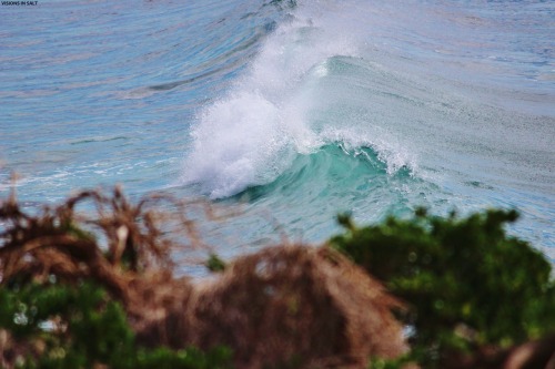 visionsinsalt:  Cronulla Point ~ 930am 