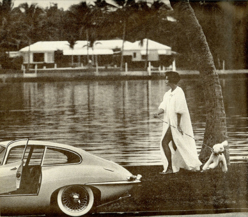 Palm Beach FL 1962 By John Hanse for LOOK Magazine