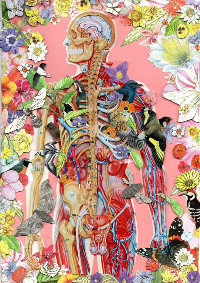nevver:  The soft machine 