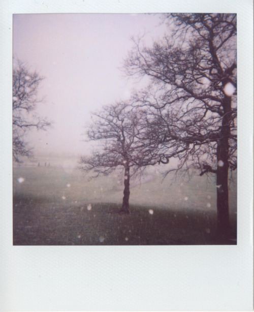 o-dyssea:  frostinthestarlite:  Source: gowiththeflowenzo on DeviantArt  ☾ indie, nature , spiritual here ☆ 