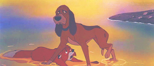 the-absolute-funniest-posts:   My lovely followers, please follow this blog immediately! 
