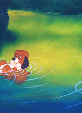 the-absolute-funniest-posts:   My lovely followers, please follow this blog immediately! 