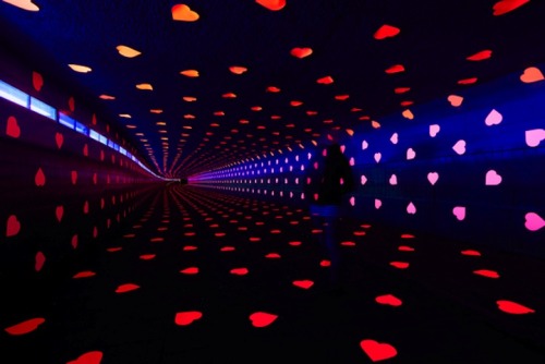 Tunnel of Love
By Studio Vollaerszwart