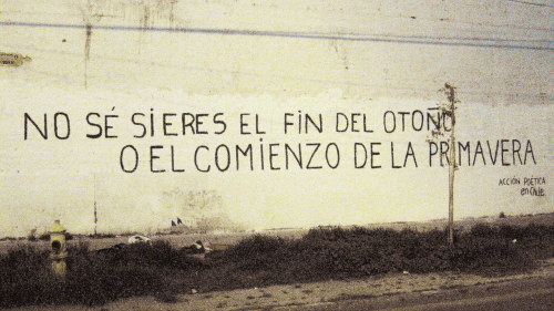 Palabras que tocan el alma♥