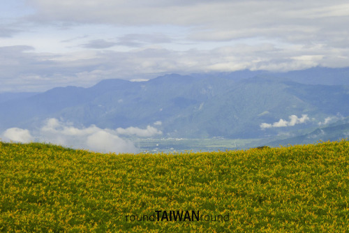 Liushidan Mountain (Sixty Stone Mountain) Liushidan Mountain (六十石山) is famous for Daylily blossom fe