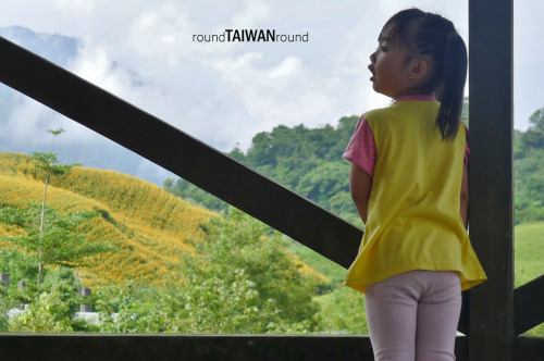 Liushidan Mountain (Sixty Stone Mountain) Liushidan Mountain (六十石山) is famous for Daylily blossom fe