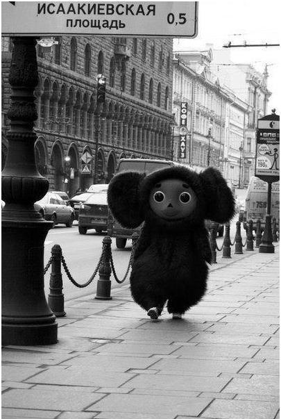 naimane:  bisou-de-moi:  meanwhile in russia..  Not sure why I found this photo so funny but HEY, it’s Cheburaska! 