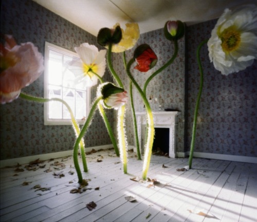 arpeggia: Jan Dunning - Precarious Rooms