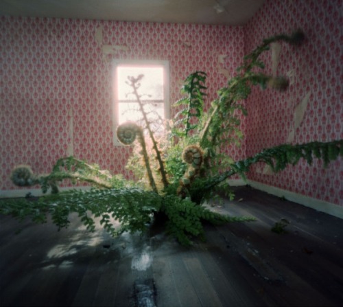arpeggia:Jan Dunning - Precarious Rooms