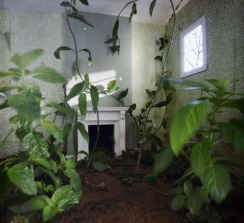 arpeggia: Jan Dunning - Precarious Rooms