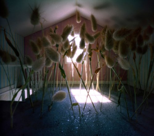 arpeggia:Jan Dunning - Precarious Rooms