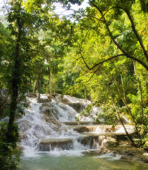 Tropical paradise at Dunn&rsquo;s River Falls, Ocho Rios, Jamaica (by agladshtein).