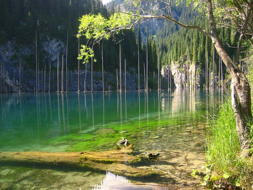 Kaindy Lake, an idyllic turquoise mountain lake in Almaty region, Kazakhstan (by rasveronex8).