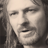 glorfindels:30 days of lotr | 2. the fellowship of the ringNine companions. So be it. You shall be t