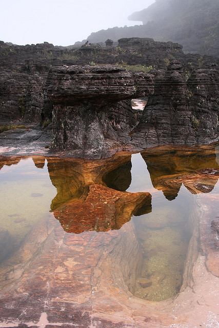 A clear reflective pool on top of Mount Roraima, Venezuela (by mcsherryp).