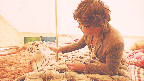  reação do harry  : NÃO TIGRE , ME DEIXA DORMIR MAIS UM POUCO  