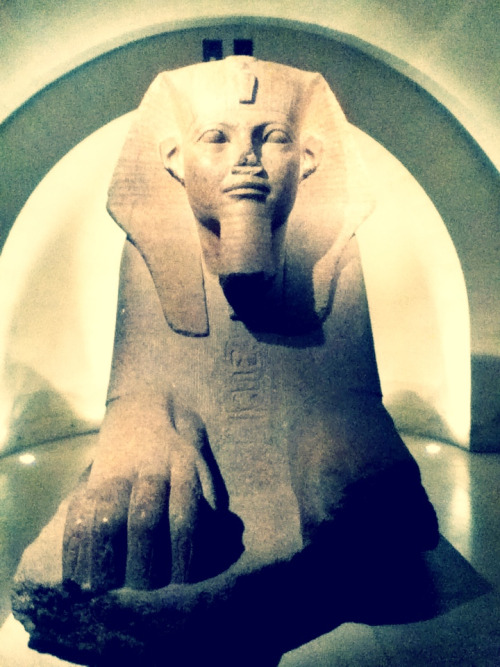 sphinx