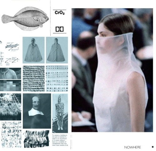 rifles:  hechter’s veil and other sartorial essays, 2009