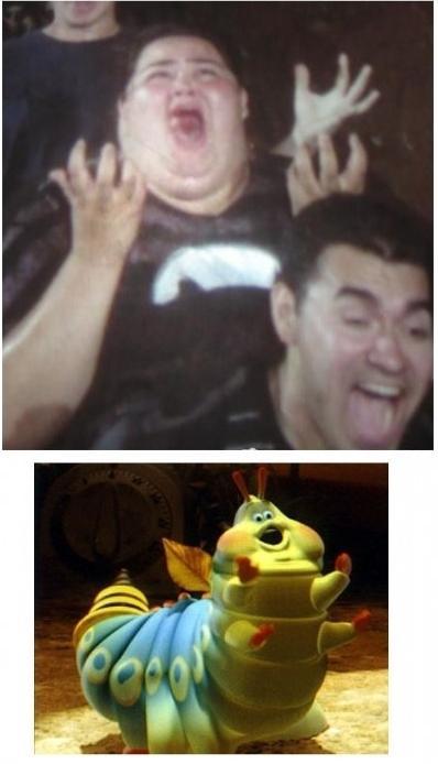 webeopro:  Parecidos razonables