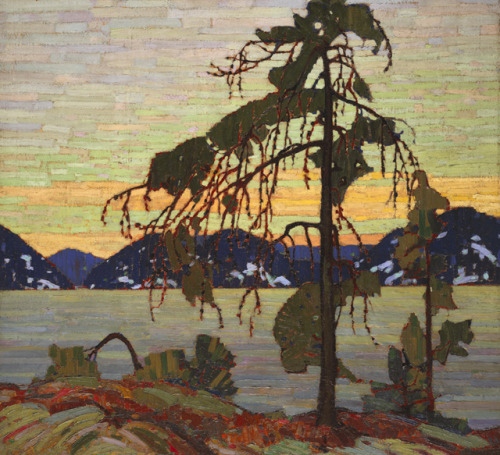 cavetocanvas:Tom Thomson, The Jack Pine, 1917