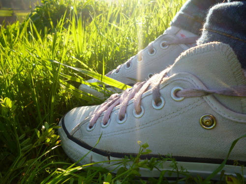 meanwhilesmile1d:  Mis Converse <3 