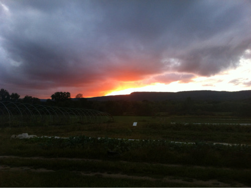 Sunset tonight over the ridge at my local farm picking up our CSA share 