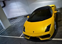 automotivated:  Lemon Squash. (by DL599)