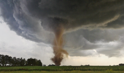 conduittothecosmos:  Weather Off The Hook  1. Deluge of rain falls from a thunderstorm near Glasgow in July 2010 2. Zero visibility dust storm biggest in living memory, July 5, 2011, Phoenix 3. Fire during record drought destroys 1,685 homes in Texas,