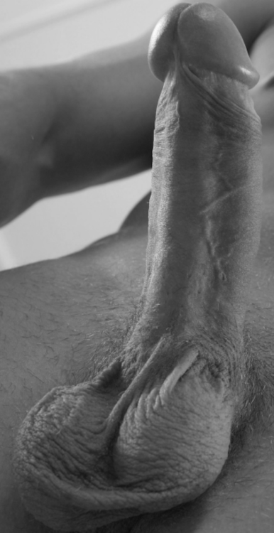http://cuckoldneigbours.tumblr.com/post/31978463707