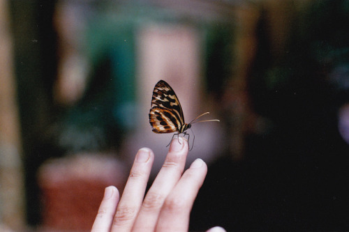 untitled by AstraMarina on Flickr.