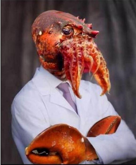 zoidberg http://fashionablygeek.com/wp-content/uploads/2010/03/Doctor-Zoidberg-Ski-Mask.jpg?cb5e28