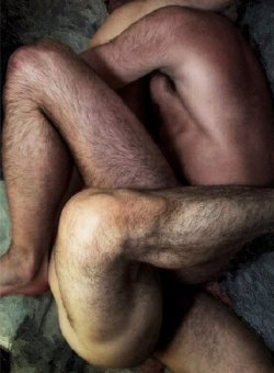 whitesocksguy:  Cuddle 